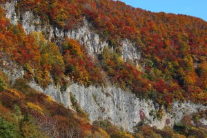 清水川原の屏風岩(大)