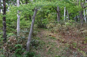 草津街道