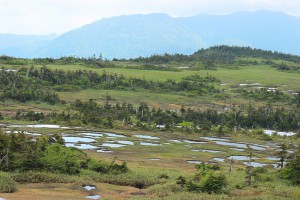 苗場山山頂付近