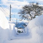 雪に覆われた家屋
