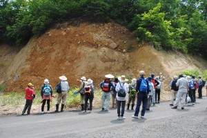 渚の化石が出土した場所