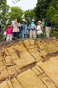 山伏山山頂付近の柱状節理