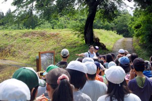 今井城へ向かう途中にあるミズバショウ群生地