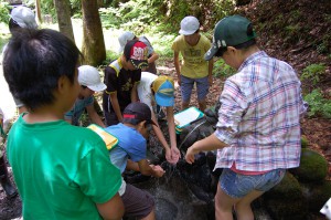 龍ヶ窪の水は冷たくておいしいね！