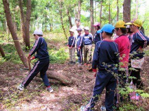 縄文人はこうやって木を倒していた