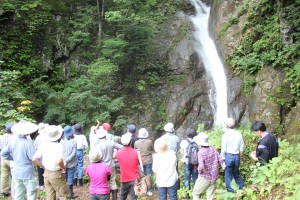大瀬の滝は、結東層とよばれる当地域で一番古い地層にかかる滝