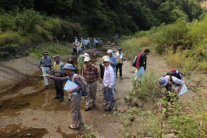 小滝にある千曲川の運河跡を観察