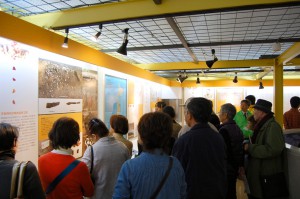全国研修会の様子
