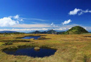 山頂庭園