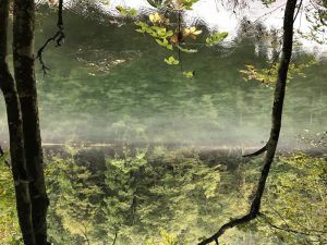 幻想的な龍ヶ窪