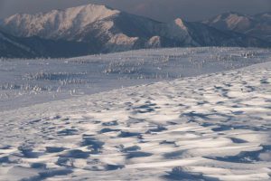 苗場山頂雪原の朝(※2)