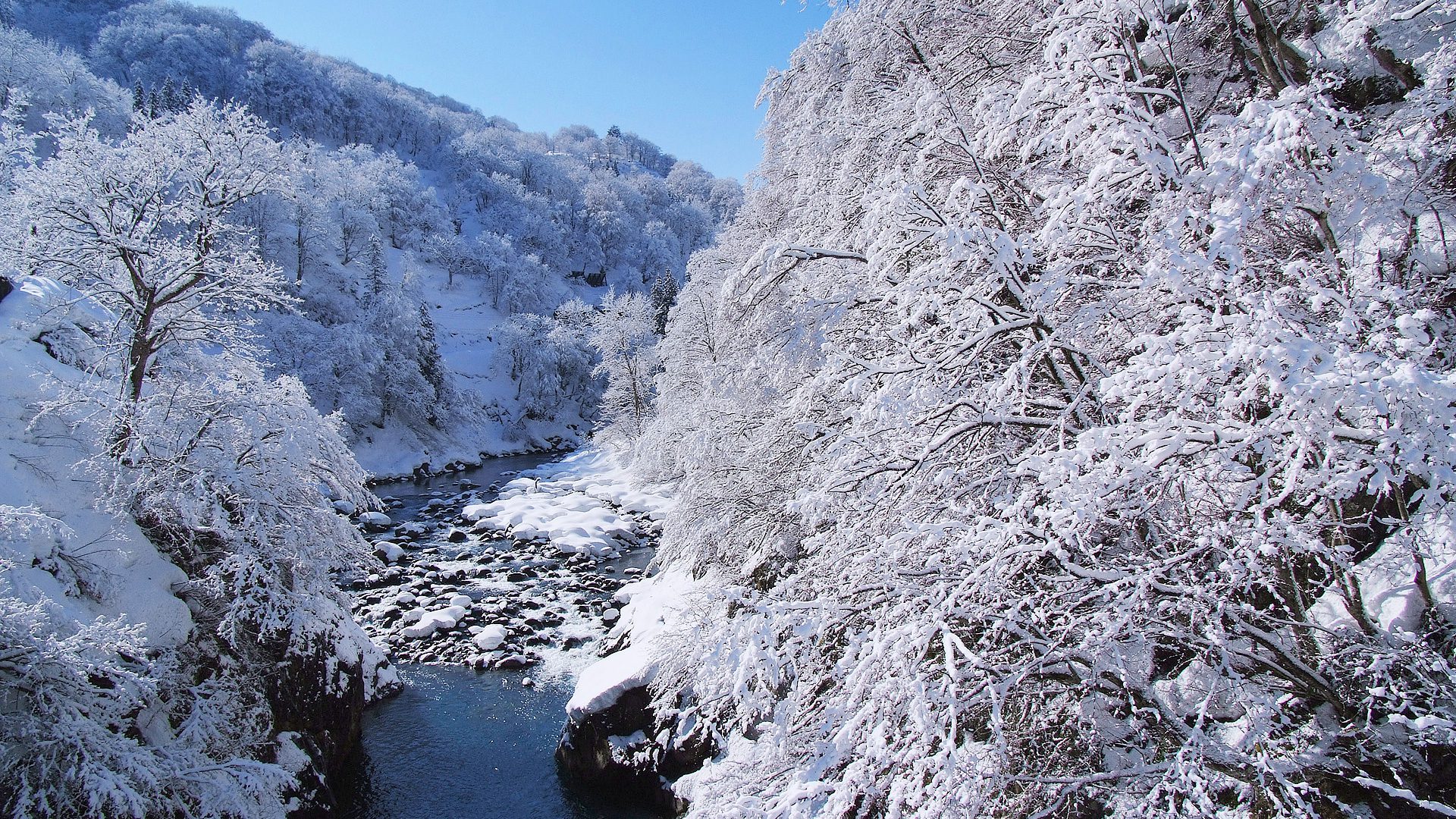 日本有数の多雪地帯「新潟県津南町+長野県栄村」