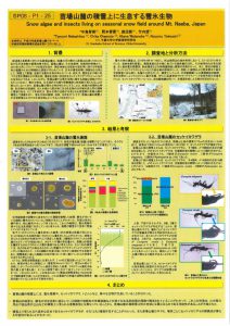 中島智美　報告書のサムネイル