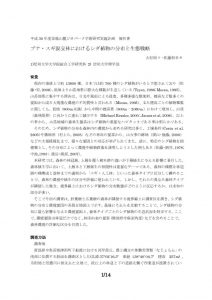 2017_大杉周-報告書のサムネイル
