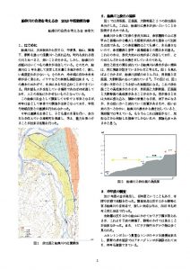 2018_林幸大 報告書のサムネイル