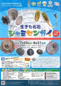生きた化石シャミセンガイのサムネイル