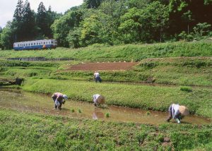 春部門 優秀賞「春の日差しの中で」