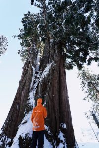 動・植物部門かたくりの宿賞「見上げる」