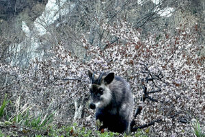 動・植物部門_春が来た_髙橋咲江