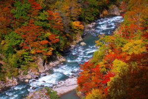 ワールドエコ賞_中津川紅葉_山田 則夫